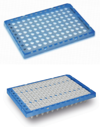 SFG shell frame grid with strips